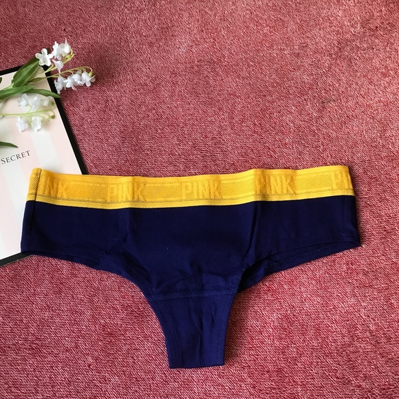 PINK Victoria's Secret Other - Victoria's Secret PINK Mesh Waist Cheekster Panty